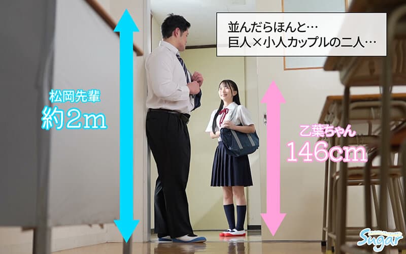 Sample image 2