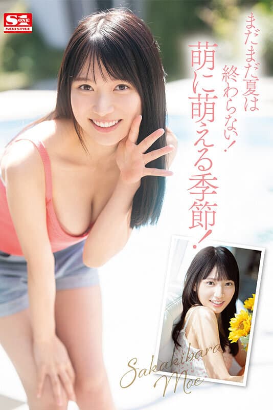 Sample image 4